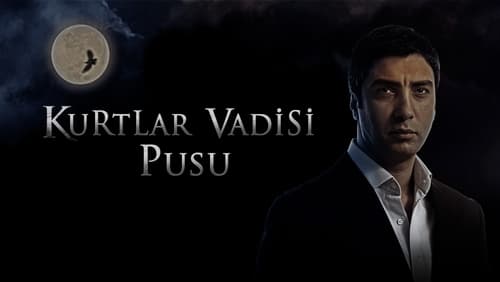 Kurtlar Vadisi Pusu 159.Bölüm izle