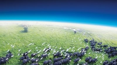 Planet Earth 1.Sezon 1.Bölüm izle
