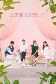 The Secret Life of My Secretary izle 