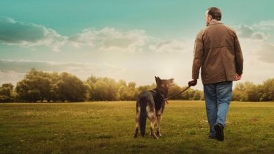 After Life 3.Sezon 5.Bölüm izle