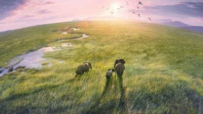 Planet Earth III 1.Sezon 3.Bölüm izle