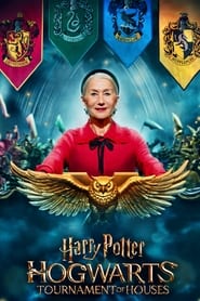 Harry Potter: Hogwarts Tournament of Houses Türkçe Dublaj izle 