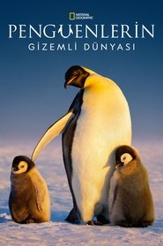 Secrets of the Penguins izle 