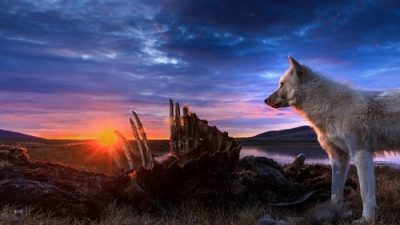 Kingdom of the White Wolf 1.Sezon 3.Bölüm izle
