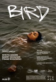 Kuş izle