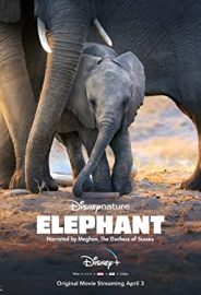 Fil izle