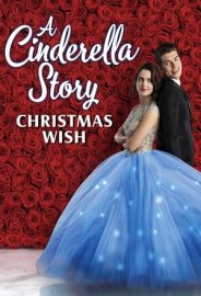Bir Sindirella Hikâyesi izle