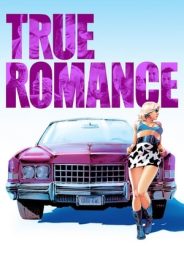 Çılgın Romantik izle