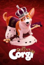 Corgi izle