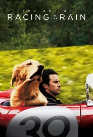 Enzo Yağmurda Yarış Sanatı izle