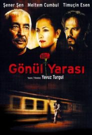 Gönül Yarası izle