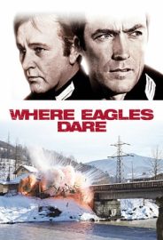 Kartal Yuvası izle
