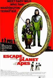 Maymunlar Cehenneminden Kaçış izle