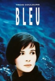 Üç Renk: Mavi izle