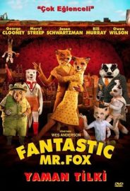 Yaman Tilki izle