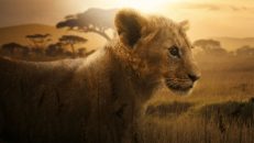 Lion 1.Sezon 3.Bölüm izle